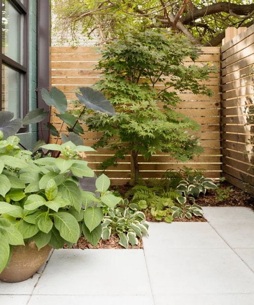 Gartengestaltung 2026