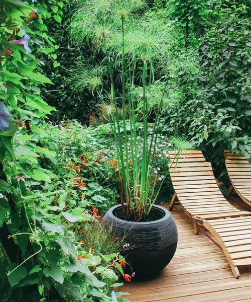 Gartengestaltung 2026