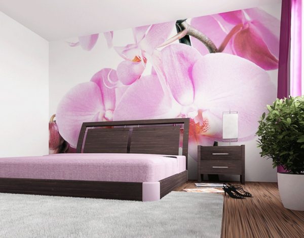 Tapeten für Schlafzimmer im Jahr 2026: neue Trends, Ideen für ein unvergessliches Interieur