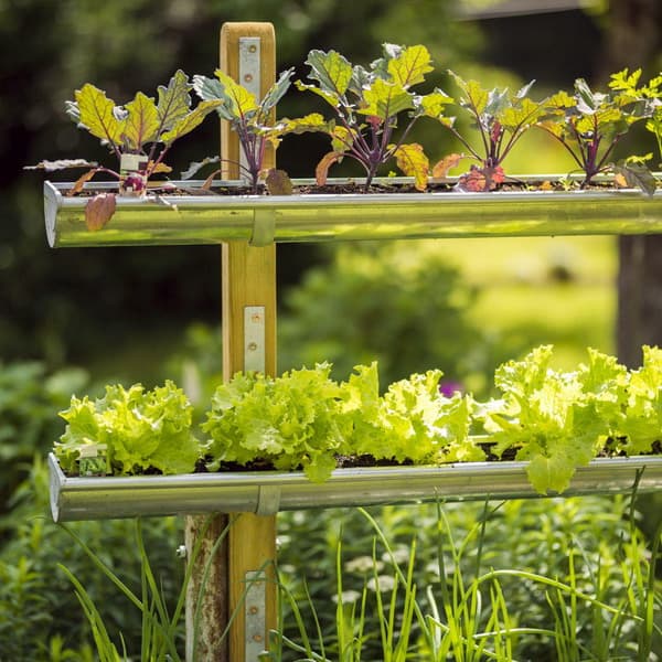 Gartendeko-Trends der neuen Saison 2026